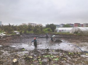 定兴河道鱼塘清淤
